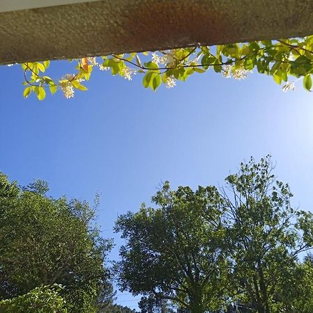Chambre Entre Source Et Volcan Lalevade-d'Ardeche Ngoại thất bức ảnh